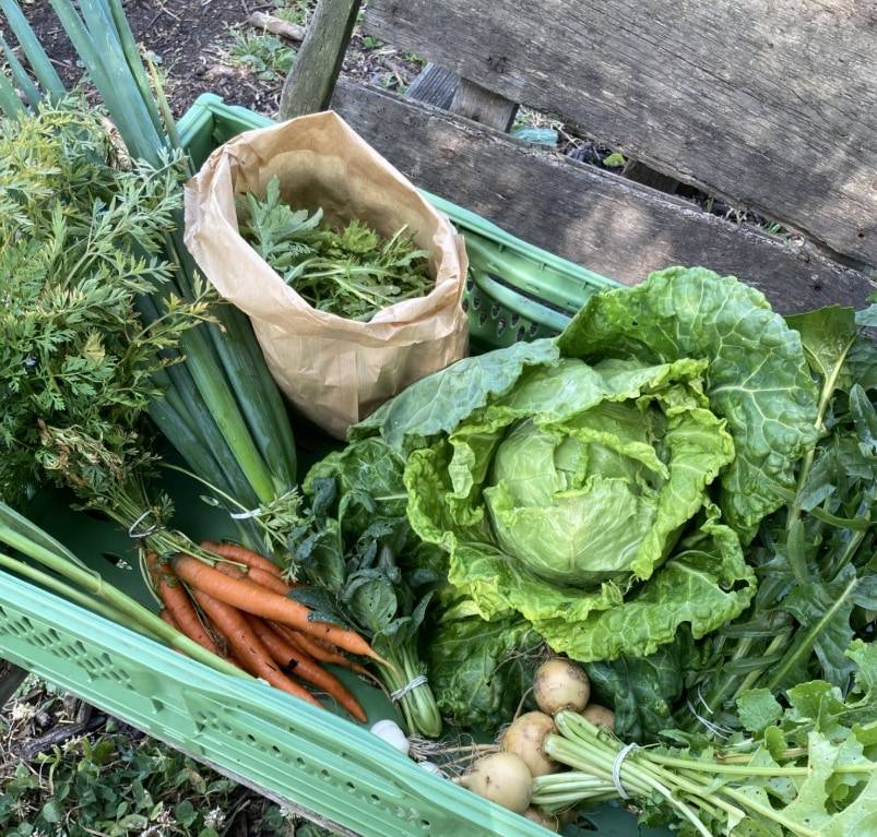 business profile image