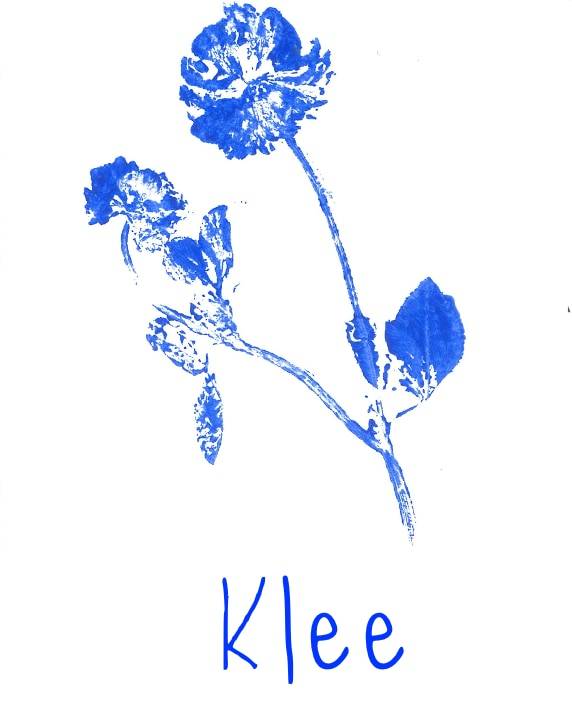 business profile image