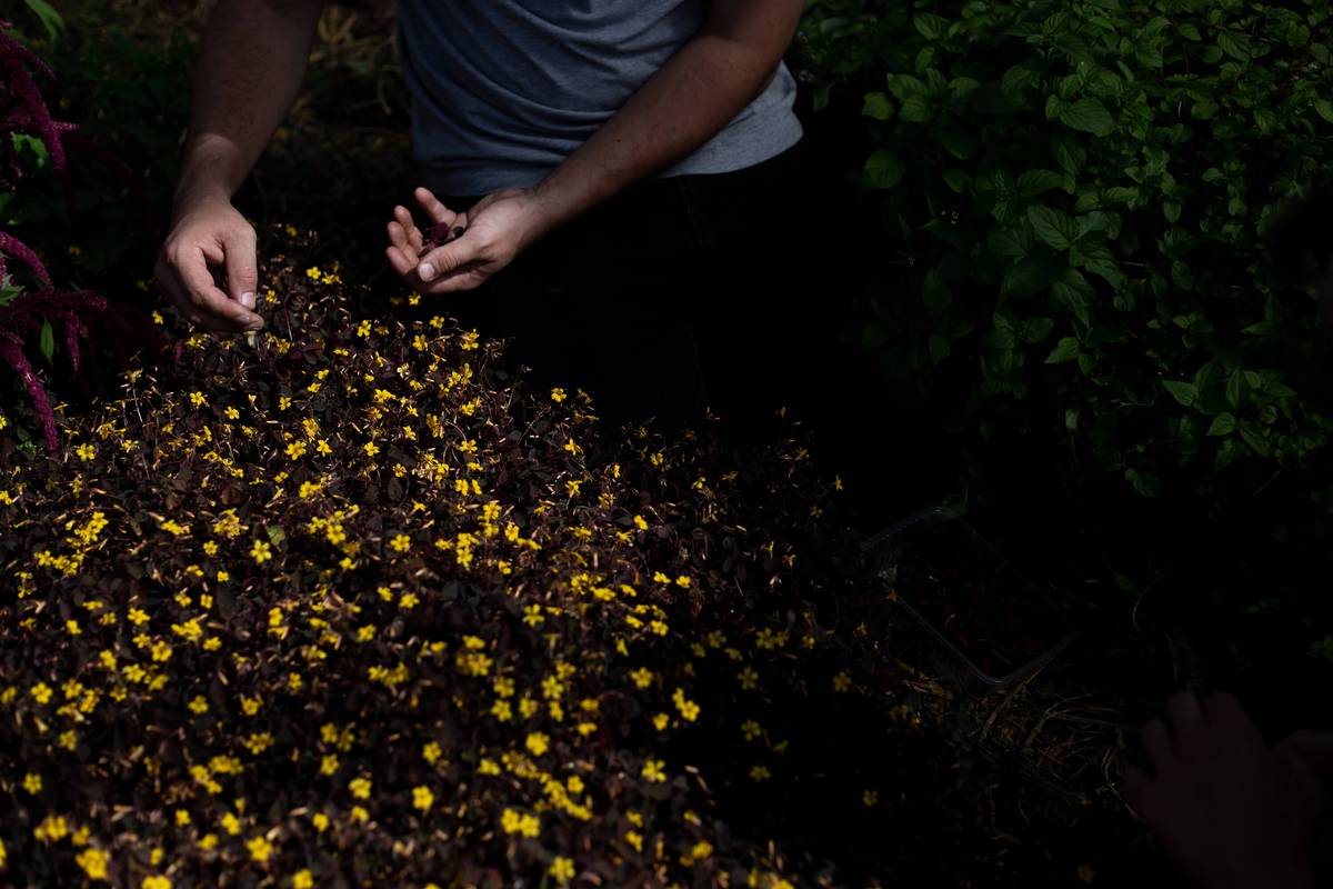 business profile image