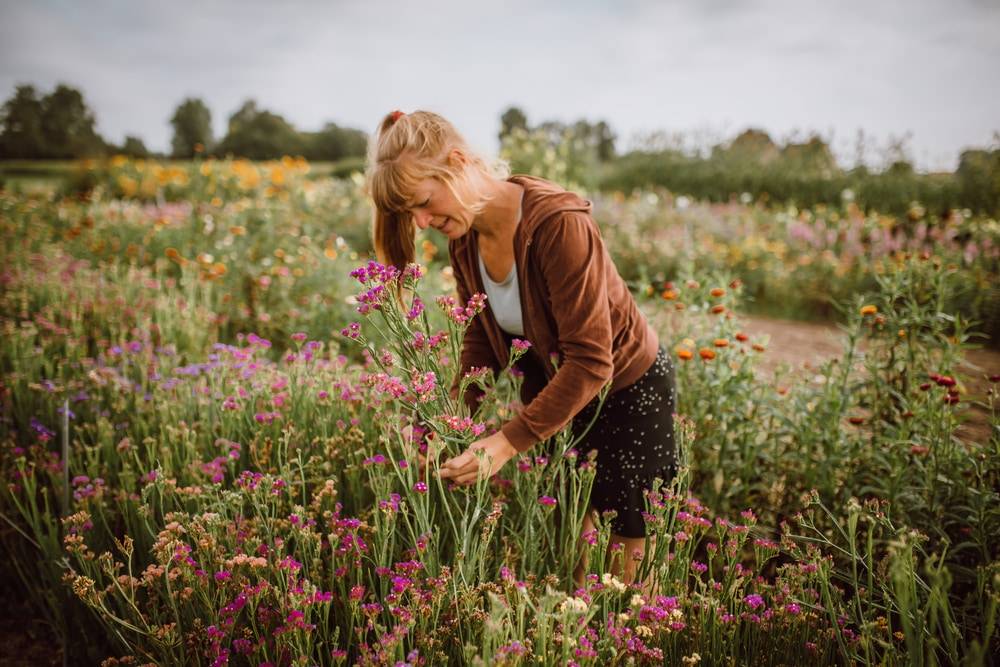 business profile image