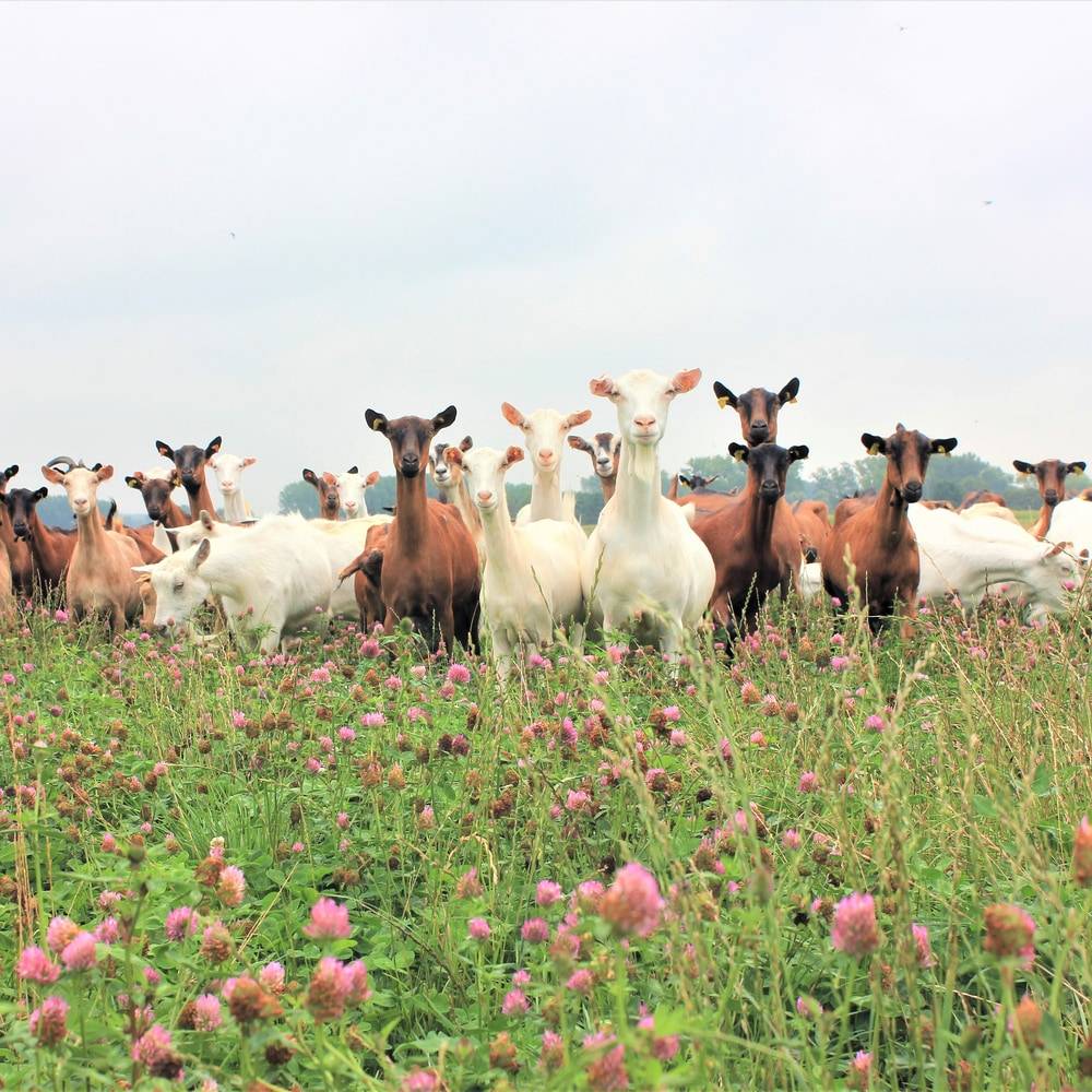 business profile image