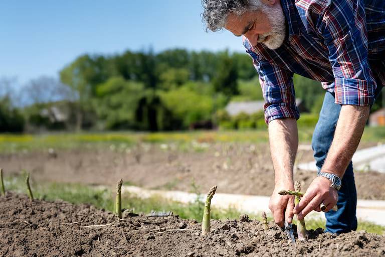 business profile image