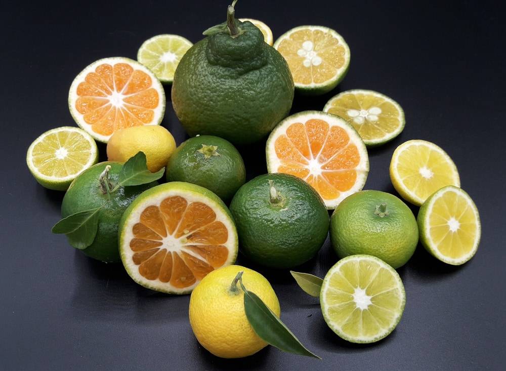 business profile image