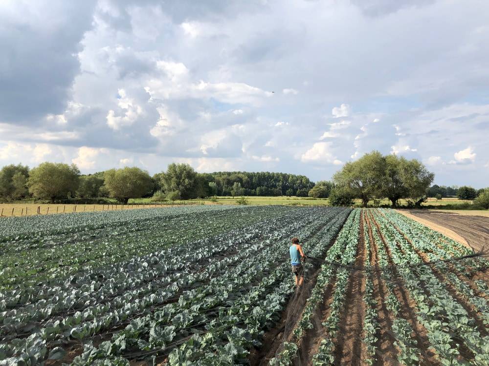 business profile image