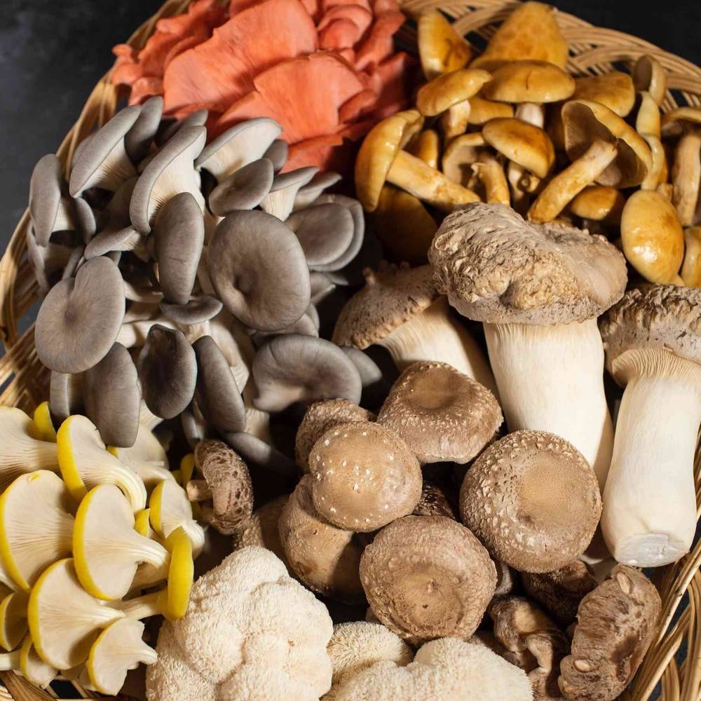 business profile image