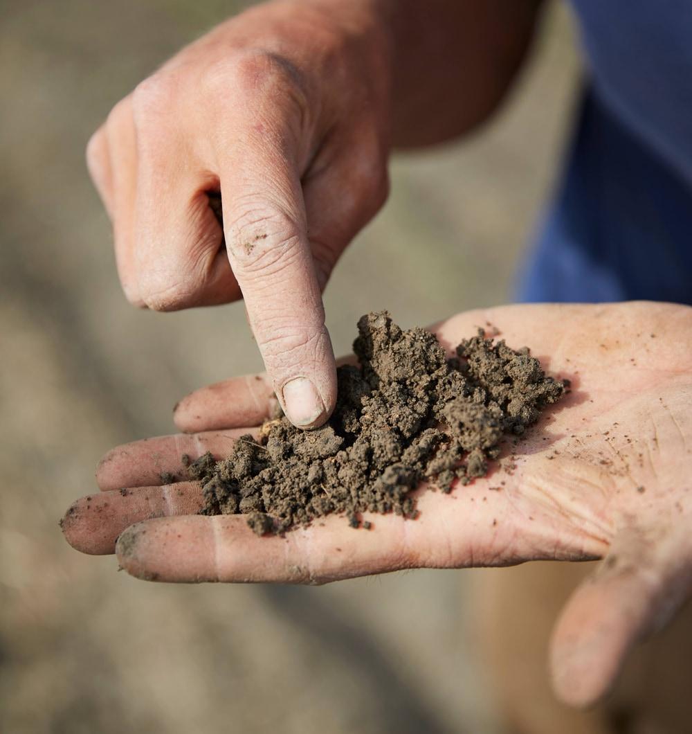 business profile image