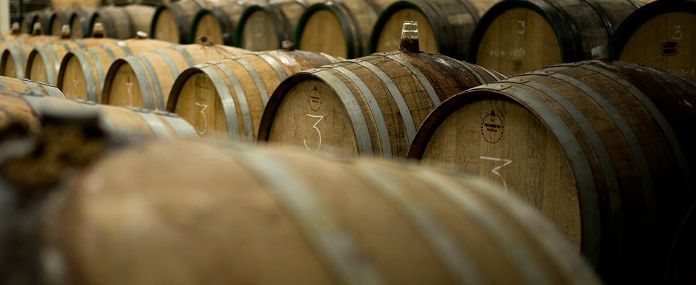 business profile image