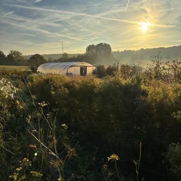 Belle année 2026 ! Je vous la souhaite douce, fleurie et engagée ✨

Les nouvelles aventures de @capucineatable arrivent bientôt, tout comme celles de notre beau collectif @slowflowersbelgique 
N'hésitez pas à nous soutenir en likant et partageant 😍

#capucineatable #fleurscomestibles #herbesaromatiques #fleurlocale #fleursécologiques