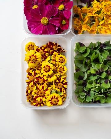 Vibrant, delicate, and full of life.

The flowers and herbs from @capucineatable are as beautiful as they are flavorful. 

Go follow her, it’s a truly magical world.