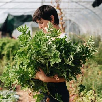 🌺Formations 2026 🌺

J'ai le plaisir de vous annoncer que cette année, non seulement je vous propose une nouvelle version de la formation "Fleurs à bouquets au jardin"..., mais aussi une toute nouvelle formation, plus longue, sur les fleurs comestibles !

Venez suivre une saison, un bout de saison, à mes côtés sur le champ. Observer, toucher, sentir, goûter... Venez mettre les mains à la terre et apprendre les variétés incontournables, comment les cultiver, comment les utiliser, comment en profiter...🔥

Qui me suit?

Coming soon: infos pratiques et inscriptions. 📸 @maurine.toussaint 

#capucineatable #fleurscomestibles #fleursornementales #fleursecologiques #aujardin #formationfleurs #formations