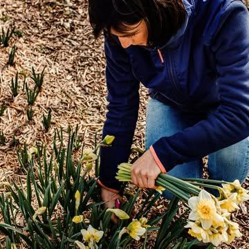 Formation 'Fleurs à bouquets au jardin'

Venez vous immerger 4 demi-journées dans la vie de la ferme florale. Laissez-vous inspirer et venez apprendre à cultiver vos propres fleurs au jardin: connaître votre sol, comment aborder les cultures, quelles sont les variétés adaptées aux bouquets, comment bien les cultiver, les tailler, les couper, comment conserver vos fleurs... 

J'ai hâte de partager avec vous !

La deuxième session est ouverte:
vendredis 20/03, 17/04, 29/05 et 12/06, de 10h à 13h

Lien d'inscription en bio, ne tardez pas!

📸@meggan.fouettmagic 

#capucineatable #fleursécologiques #formation #lesfleursabouquets #fleursaujardin