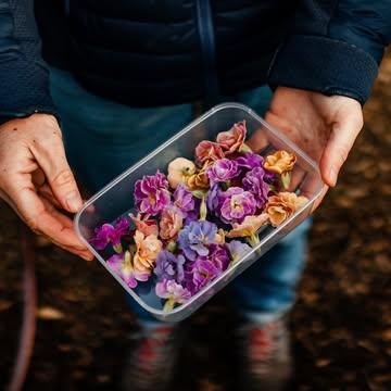 Ateliers 2026 - Nouvelles dates

🌼A la découverte des herbes aromatiques et des fleurs comestibles 🌼
Une journée entière d'immersion au champ pour découvrir l'univers passionnant des fleurs comestibles et des herbes aromatiques. Vous voulez agrémenter votre jardin avec une multitude de trésors comestibles, des couleurs et des saveurs? Vous ne savez pas lesquelles choisir et comment les cultiver? Vous ne savez pas comment vous en servir en cuisine? Sentir, goûter, s'inspirer... Rejoignez-nous !

Quand? 
- Vendredi 05/06 - 10h-16h
- Vendredi 03/07 - 10h-16h

Lien d'inscription en bio
Places limitées - Aucuns pré-requis nécessaires

📸@meggan.fouettmagic 

#capucineatable #herbesaromatiques #fleurscomestibles #gastronomie #ateliers #formations #cuisinevegetale #productionlocale