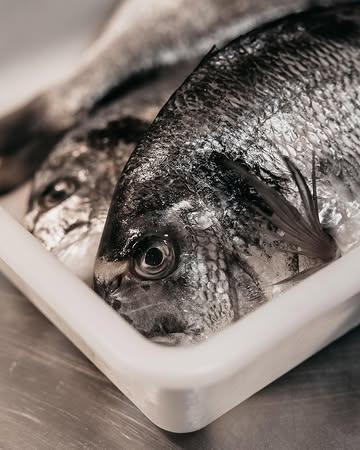 Coquum privilégie dans son menu, les produits de la mer, particulièrement affectionnés par le chef: poissons sauvages, coquillages, algues…
Ici en photo la daurade du précédent menu et en ce moment la vieille, poisson de roche de la mer du Nord.
 
#poisson #menu #gastronomy #pecheresponsable #woluwe
