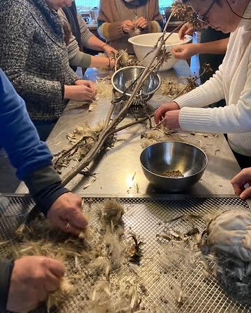 DAG 4 TISANNERIEopleiding: met in de ochtend ‘eigen zaadselectie als hefboom voor kwalitatieve infusies’ en in de middag ‘de assemblage van de eerste aromatische blend’ inclusief kleinschalig distilleren van bergamotschil. Fijne dag, fijne groep!