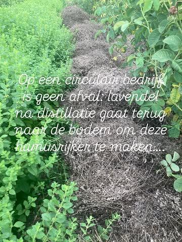Regeneratief!