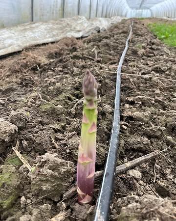 Dans les starting-blocks 😜