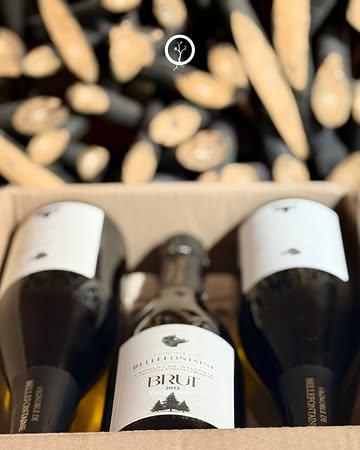 Les Bulles Bellefontaine ouvrent le bal ✨
Une belle bulle belge aux cépages Solaris, à la robe dorée, aux notes de pêche blanche et à la gourmandise délicate.

L’accord parfait pour commencer l’expérience Rizom.

📆 Réservation sur :
065 61 38 76
https://rizom.reservation.barestho.com/