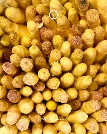 La saison des asperges touche doucement à sa fin.
Pour continuer à profiter de leurs saveurs plus tard dans l’année, nous mettons en œuvre différentes techniques de conservation au fil des récoltes.
Aujourd’hui, nous vous partageons un aperçu de ce travail quotidien en cuisine : conserver le meilleur de chaque saison pour prolonger son histoire.

📆 Réservation:
065613876
https://rizom.reservation.barestho.com/
