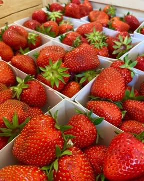 🧺🌾 Cette semaine dans nos magasins...

🍓 Dernier pic de fraises de printemps de Julien Vandeclee (Houtain-Saint-Siméon), profitez-en! Rayon fruits, les melons cantaloup d'Italie arrivent 🍈
🍆 Les premières aubergines belges de Joël Ruth (Ében-Émael) devraient pointer le bout de leur nez dès mardi!
🌿 Côté verdures, c'est le retour du chou pointu, basilic botte, coriandre botte, persil frisé et persil plat
🧼 Réassort de savons solides neutres en vrac: surgras, à base d'huile de tournesol, parfaits pour les petits bouts 👶
🍗 Cette semaine, le poulet de @coqdespres vient de la ferme de Sandrine de Vlieghere à Vyle-et-Tharoul (Marchin) et la viande d' @endirectdemonelevage vient de la Ferme Les Battys à Hubermont (La Roche-en-Ardenne)
🥵🍨 Incontournable pour se rafraîchir: les glaces locales et bio de @glace_kwetu (lait de vache) et des Bergers de la Haze (lait de brebis) ❤️

Belle semaine à toutes et à tous!