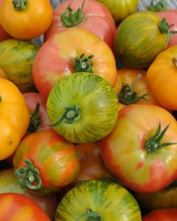 🧺🌾 Cette semaine dans nos magasins…

🍅 Tomate-mozza pour tout le monde cette semaine! Les tant attendues tomates anciennes de nos producteurs locaux s'installent dans nos rayons demain après-midi.
À accompagner d'une mozzarella di bufala de Buffl'Ardenne évidemment 🤩

🥵🍹 Il va faire chaud! Pour vous rafraîchir, on vous propose les kombuchas de beKombucha :
- Kombucha sans sucre fleur de sureau
- Mocktail Virgin Daiquiri
- Infusion pétillante feuille de figuier
- Kombucha frais citron-gingembre (uniquement en Neuvice et à Sainte-Walburge)

🧀 En dégustation : la tomme de la Lienne de la fromagerie Counasse (Chauveheid)

🗞️ Nouveau magazine @tchak.be disponible en magasin!

🥩 Cette semaine, la viande de bœuf de la coopérative @endirectdemonelevage vient de la Ferme de la Basse Mouline (Libramont) et la viande de poulet de la coopérative @coqdespres vient de la ferme de la Ferme Simon (Anthisnes)

🌿 Belle semaine à toutes et à tous!

Photo 2 : Ferme au Moulin