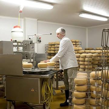 🐮 En dégustation dans nos magasins : la Roue Stoumontoise 

👉 Un délicieux fromage à pâte demi-dure, au lait cru de vache bio.

La Roue Stoumontoise est fabriquée à Chauveheid par la Fromagerie Vincent Counasse. Vincent y transforme le lait des vaches Montbéliardes de la ferme de son frère, Philippe Counasse. Le troupeau est nourri avec des aliments 100% produits sur place, pour des fromages au goût délicieusement authentique. 🌾