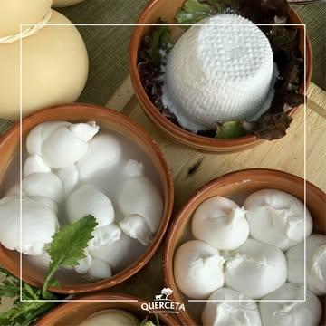 🤌 Burrata italienne pour accompagner nos tomates locales! 🍅

🐮 L'histoire de la ferme @querceta 
Depuis trois générations, la ferme Querceta produit des aliments biologiques à Putignano, dans les Pouilles. Les terres exploitées sont entièrement cultivées selon des pratiques biologiques certifiées. Pour nourrir le bétail, un système de rotation des cultures vertueux est mis en place : les animaux se nourrissent de plantes fourragères, fertilisant ainsi le sol. Une fois enrichi en nutriments, le sol est labouré et ensemencé l’année suivante.
Les chèvres, les moutons et les porcs sont en totale liberté en dehors des étables pendant toute leur vie, sauf la semaine avant l’abattage, qui a lieu dans une installation ultramoderne située à quelques kilomètres seulement de l’entreprise, minimisant ainsi les contraintes liées au transport. Il en est de même pour les vaches à viande (Podolica), tandis que les vaches laitières (Frisona) vivent à l’intérieur dans des étables spacieuses.

L’entièreté du lait est transformé sur place en fromages et autres produits laitiers traditionnels: burrata, ricotta, mozzarella, scamorza, provolone…
En plus de l’élevage, ils produisent également des légumes, des olives, des noix et du miel.

Notre sélection
Retrouvez leur ricotta et leur burrata dans nos 3 magasins à Liège.

🤝 Pourquoi travaillons-nous ensemble ?
Pour eux, l’agriculture bio n’est pas une mode ou une argument commercial mais un véritable engagement. De la culture des céréales jusqu’à la transformation des produits laitiers et de la charcuterie, tout est produit sur place, à la ferme. Chaque étape de leur travail est la plus naturelle possible: pas de conservateurs, arômes, pesticides ni fertilisants chimiques n’y ont leur place. Cette passion du travail bien fait se ressent au niveau du goût et la qualité de leurs produits, tout en perpétuant la tradition et en respectant la biodiversité.