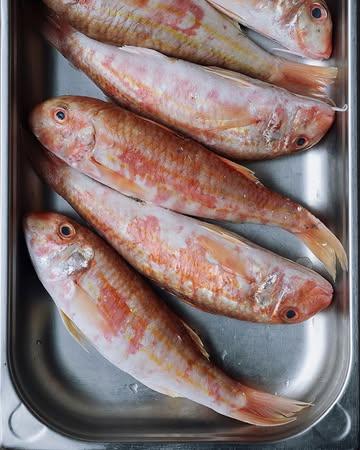 Rouget ~ Red mullet

📷 @maurine.toussaint