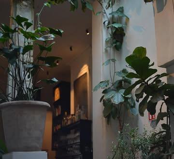 New beginnings at Harvest. A new chapter is unfolding, stay tuned!  #newyear #antwerp