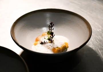 Pumpkin cannelloni filled with an earthy mushroom tapenade, finished with a light Parmesan foam and bright notes of sea buckthorn gel. A refined balance of warmth, richness, and gentle acidity.

@plnt_beyondbio