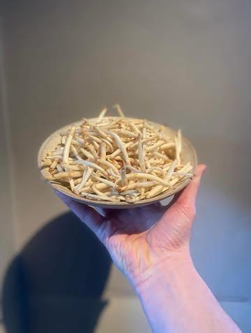De eerste hoppescheuten van het seizoen 🌱

Dit zijn de allereerste, jonge uitlopers van de hopplant, met de hand geplukt zodra ze net boven de grond komen. Het seizoen is extreem kort – vaak slechts enkele weken in het vroege voorjaar – en dat maakt ze zo exclusief.

Hoppescheuten worden ook wel het “witte goud” van het voorjaar genoemd. Ze hebben een verfijnde, licht bittere smaak met frisse, bijna nootachtige en subtiel aardse tonen. De textuur is knapperig en sappig tegelijk.

In de keuken behandelen we ze met respect en eenvoud. Denk aan:
	•	kort geblancheerd en afgewerkt met hoeveboter
	•	geserveerd bij een zacht gepocheerd eitje
	•	gecombineerd met fijne mousselinesaus

Het zijn producten die het seizoen aankondigen — puur, lokaal en tijdelijk. Wie ze proeft, proeft het begin van de lente.