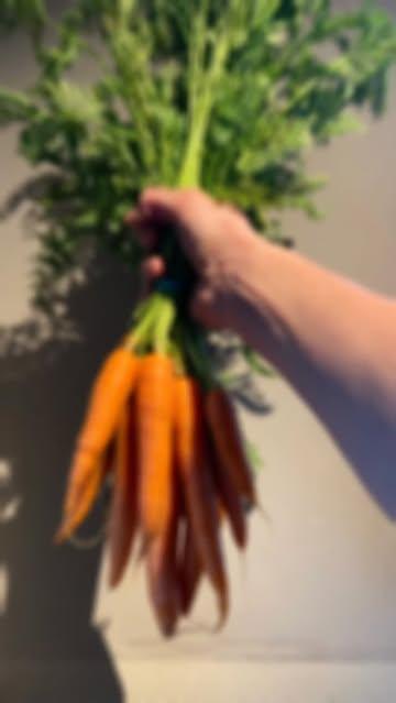 Vanaf dinsdagavond 14/4 zijn wij er terug.
Kom proeven van onze lente gerechten 😋

#lentekriebels☀️ #food #gaultmillaubelgium #spring 
@desmetnl3 @felixfrancois_