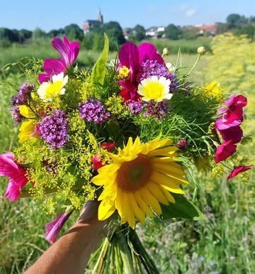 Veldboeketten van De Zaailing te koop in het Huis van de Zaailing! Bestellen t.e.m. vrijdag voor ophaling op zaterdag. €25/st