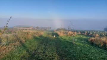 Dag prachtig veld. Dankbaar dat ik je elke dag kan en mag begroeten!