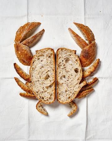 Niet alles is wat het lijkt. 🦀 

@burpphoto