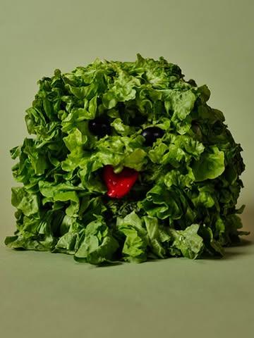 Lettuce take you on a trip. 💚 

@burpphoto