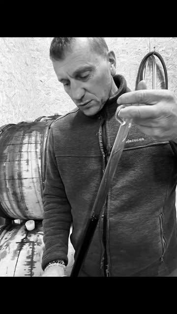 Il y a peu j'ai eu la grande chance de participer à une dégustation à @lavoixdesmeles  qui a eu pour but de définir les prochaines et premières "vraies" cuvées du domaine.

Le moment était certes exceptionnel émotionnellement, car ce sera l'unique "première" du domaine. Mais c'est aussi émouvant de voir se concrétiser doucement ce saut dans le vide de ce grand travailleur de Franck.

Nous oublions trop souvent comme il est difficile pour un vigneron, pire encore un néo -vigneron, de lâcher son bébé, d'estimer ce qu'il sera et quand il sera prêt de l'être.

Certes, il restera des décisions à prendre pour assembler, mais la conclusion UNANIME de cette dégustation est la qualité intrinsèque des jus présentés par Franck.

Il ne fait aucun doute que ses vins rejoindront les projets que je porte. Et je souhaite à Franck toute la sérénité nécessaire à prendre un temps d'arrêt, quelques minutes, après ses prochaines mises en bouteilles, pour admirer le chemin accompli. 

Félicitations pour ce projet, Maryline et Franck!

#vinwallon #bio #hybrides #naturalwines