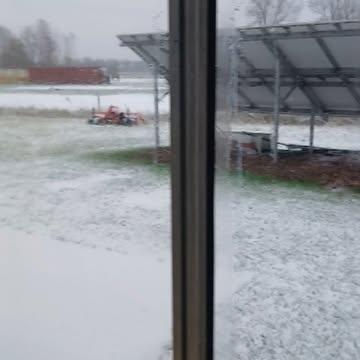 Gisteren oogstten we heel wat bladgroen in barre omstandigheden. Omdat we de serre niet verwarmen moet alles eerst ontdooien door de zon voordat we kunnen oogsten. Nadien was het een race tegen de klok bij een zeer frisse 1,5 graden. Een dag om niet snel te vergeten!