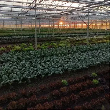 De serre is klaar voor een nieuw pakketten seizoen!🥰