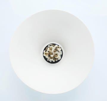 A taste of our current Vrijmoed menu…
“Tagliatelle of lightly cooked squid, trompette de la mort mushroom, Osietra caviar & squid-dashi beurre blanc “ 🖤🖤🖤
.
#squid #caviar #vrijmoed #michelinguide #gaultmillau #northseachefs