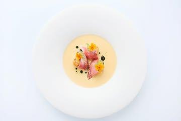 A vibrant and refreshing start to our summer menu!

Red mullet tartare &  marinated skin served with a sauce made from roasted fish heads, piment & fermented sea buckthorn berries finished with citrus marigold 🧡
 
#vrijmoed #gent #michelinguide #gaultmillau #bestvegetablesrestaurants #northseachefs