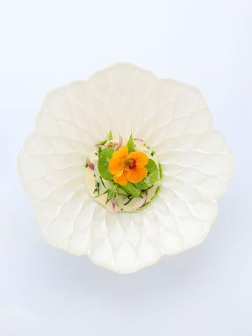The perfect way to begin a summer menu…

A crispy summer salad with nasturtium, rocket salad sorbet and a vibrant jalapeño & apple jus.  Fresh, light, and full of bright seasonal flavours 💚

#vrijmoed #salad #michelinguide #gaultmillau #bestvegetablesrestaurants #gent