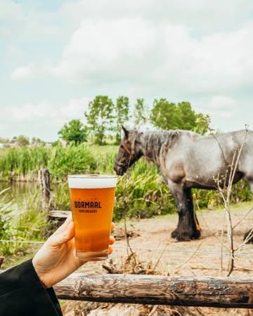 No horses were armed in the making of this photo. Maar de dorst is wel gestild! 🤪

#hoftendormaal #haacht #tildonk #brouwerij #boerderij #mouterij #bier