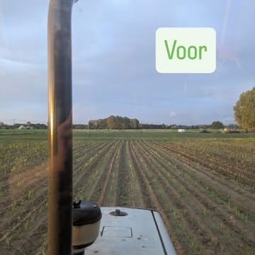 Vandaag mais schoffelen...
@dammkultur