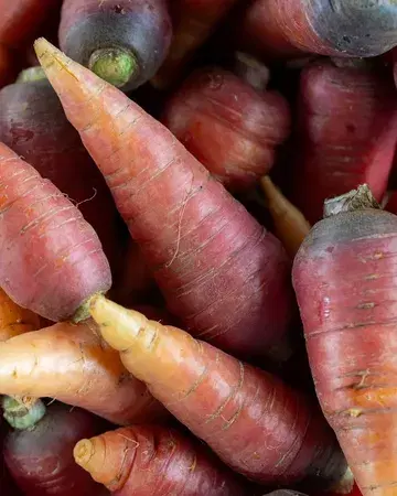 Baby carrots, big flavor 🥕 We let the seasons guide us, fresh harvests and daily arrivals shape our menus for a natural, ever-changing experience.