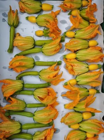 Qui l'eut crû un 28 octobre ?
Encore un restaurant qui va régaler et étonné ses clients !

photo©JulienDeBacker (Fuini)

#maraichagebruxelles #maraichagebio #maraichagebiointensif #goodfood #strategiegoodfood #fleursdecourgettes