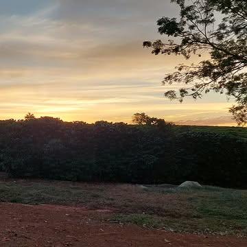 Fazenda Arema , direct trade, merci pour l'accueil Euller et Martine,  le paradis
#cofferoasters #specialitycoffee #torrefactionartisanale #coffee #plantation