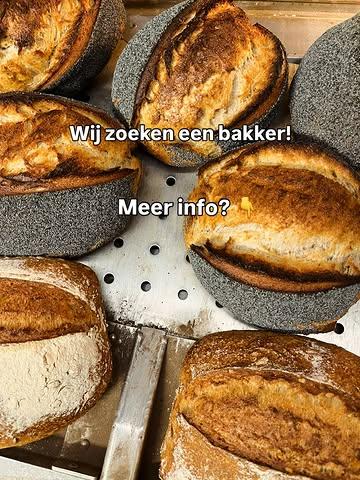 VACATURE - VOLTIJDS
Om ons team te versterken zoeken we een polyvalente medewerker in de bakkerij!
Ben jij iemand die verantwoordelijkheid neemt, graag actief bezig is en energie krijgt van werken in een hecht team? Dan ontmoeten we je graag. Volledige vacature kan je vinden bij VDAB 🤗
📩 mail naar info@broodbroeders.be en wie weet word jij een van onze BroodBroeders/zusters! 
#BroodBroeders #Vacature #Zuurdesem #ambacht