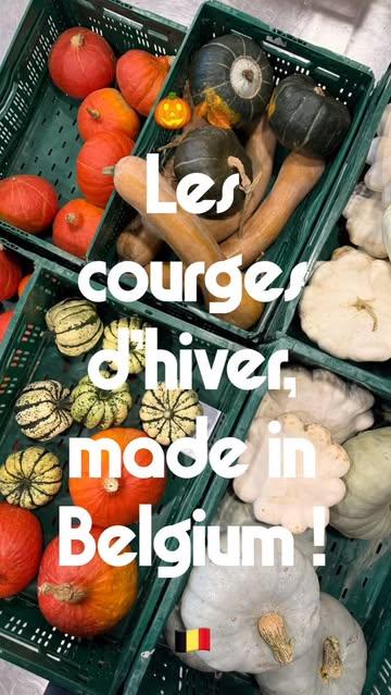 🎃🍂 Les courges d’hiver, made in Belgium !🇧🇪

Elles sont là, toutes fraîches, toutes belles, cultivées par nos maraîchers partenaires : @mish_mash_be , @bluette_maraichage_et_fleurs , @domainelafalize et d’autres encore 🌱💚

👉 Butternut, pâtisson, patidou, potimarron vert et orange, courge longue de Nice, courge bleue de Hongrie… Un vrai festival de formes et de couleurs, directement des champs belges à vos assiettes 🇧🇪✨

🍴 À rôtir, en soupe, en gratin ou même en tarte sucrée… les courges d’hiver sont vos meilleures alliées pour cuisiner sain, gourmand et de saison.

🛒 Disponibles dès maintenant chez Bio Vrac !
