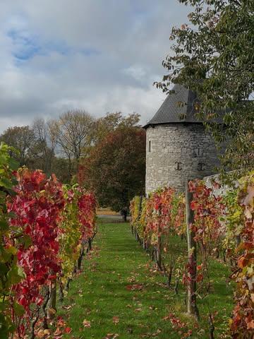 Autumn season at La Falize 🍁🍂