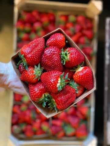 🍓 Elles sont là ! 🇧🇪 🥳
Les premières fraises belges du Domaine de la Falize sont arrivées 🫶🏻

🌱 Issues de l’agriculture biodynamique et cultivées avec soin à Rhisnes (Namur). @domainelafalize 

Délicates, intenses, le genre de fraises qu’on mange sans rien ajouter.✨

⚡️Passez vite les goûter, elles partent aussi vite qu’elles arrivent !